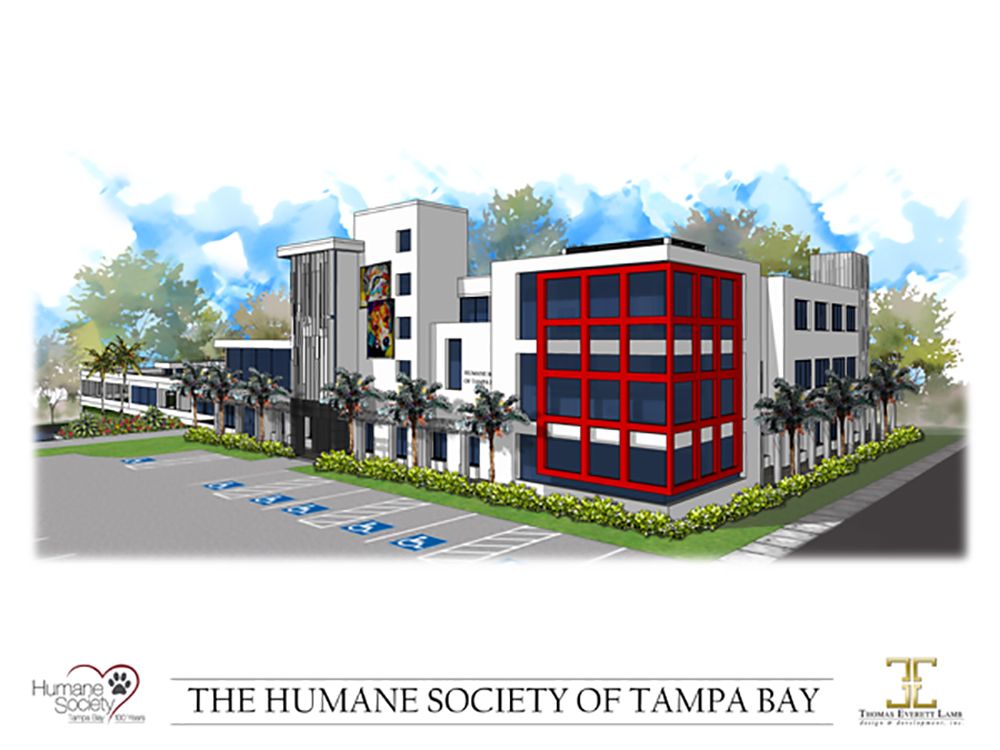 ►The Humane Society of Tampa Bay is constructing a 42,000 square-foot facility which will be named the Debartolo Family Animal Shelter at the Humane Society of Tampa Bay, thanks to a large donation from the family to the center.