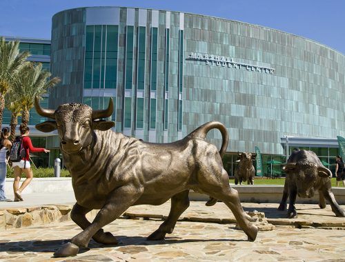 ►The Florida Board of Governors voted unanimously to formally designate USF as a “Preeminent State Research University,” which will bring the school $6.15 million in additional funding. The University of South Florida also appointed Michael Kelly the new vice president of athletics.