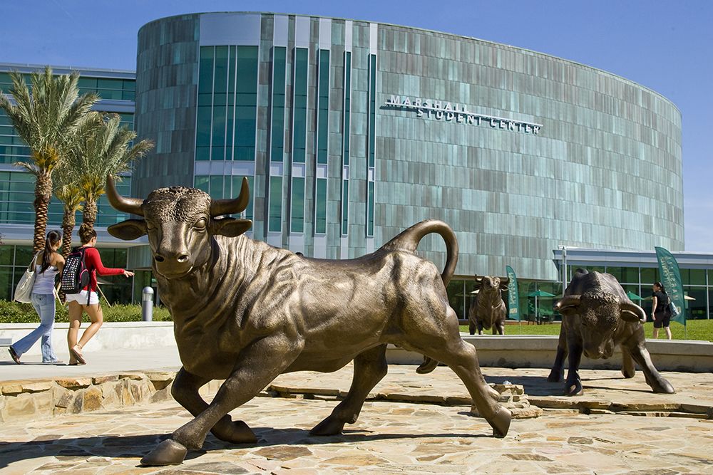 ►The Florida Board of Governors voted unanimously to formally designate USF as a “Preeminent State Research University,” which will bring the school $6.15 million in additional funding. The University of South Florida also appointed Michael Kelly the new vice president of athletics.