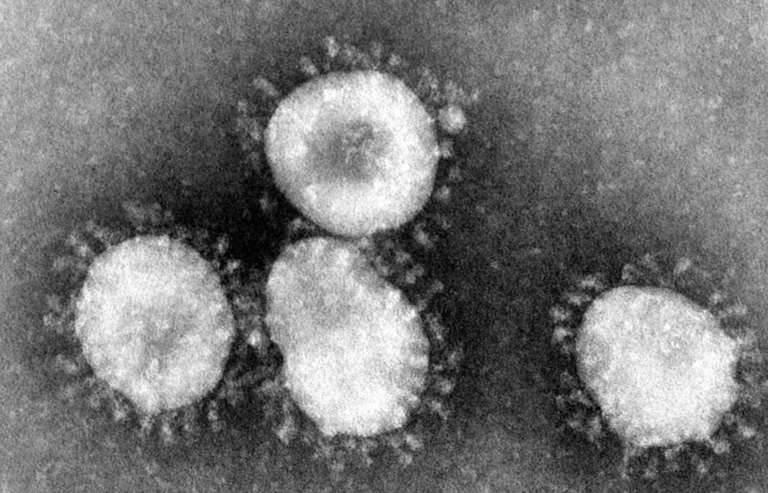 Screen Shot 2020-03-11 at 10.40.50 AM