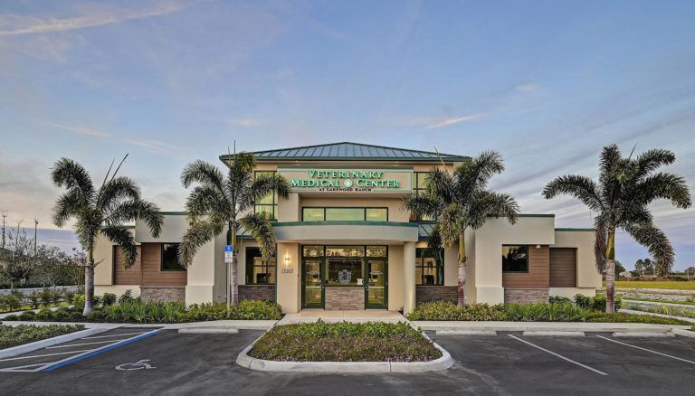 Halfacre shoot - Lakewood Ranch Veterinary Medical Center