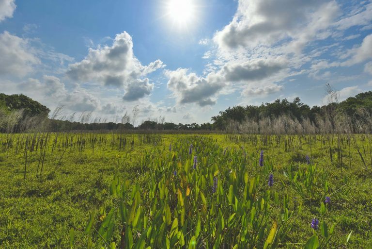 OrangeHamRanchsmall.SRQ360-scaled