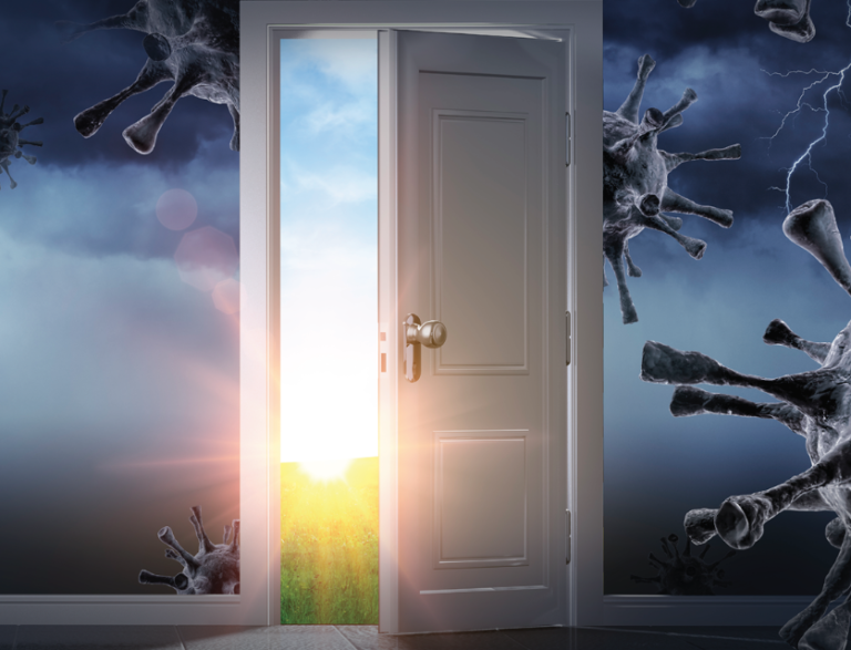 Screen Shot 2021-01-07 at 1.16.02 PM