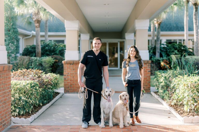 scrubs dogs building WEB