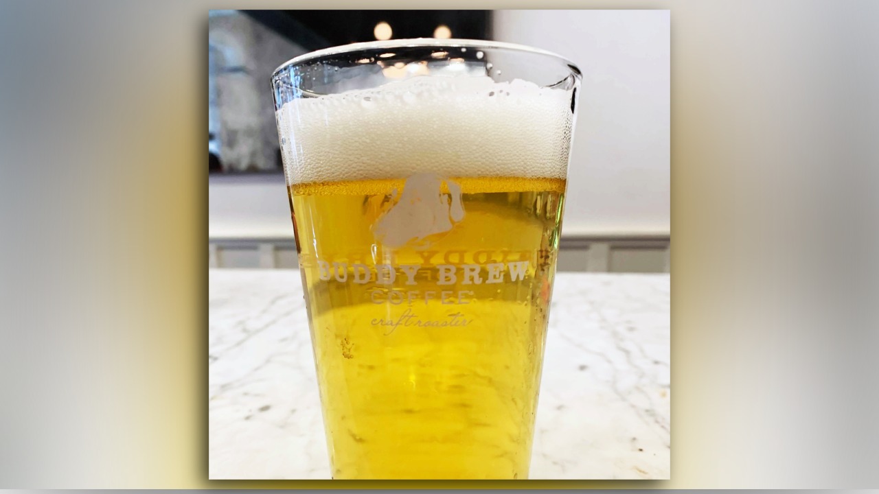 Buddy Brew Coffee Dog Dayz IPA served in branded glass