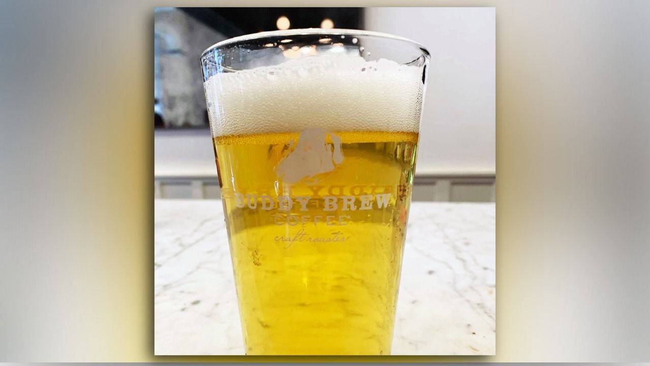 Buddy Brew Coffee Dog Dayz IPA served in branded glass