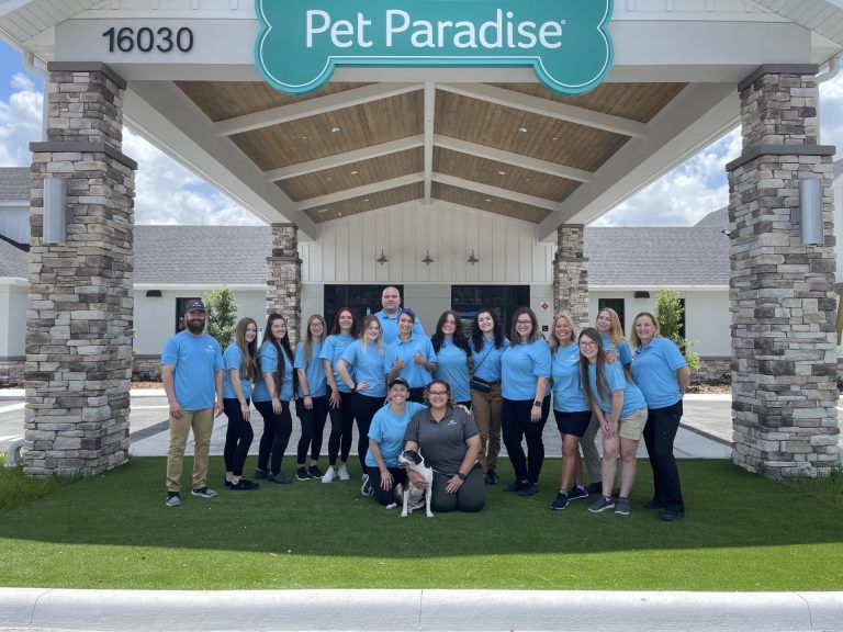 odessa opening team photo