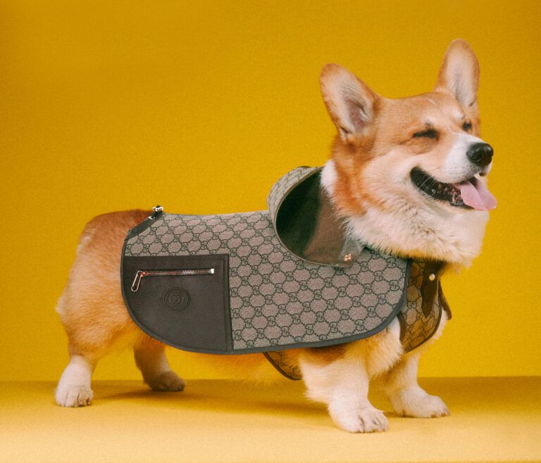 Gucci Lifestyle 1080x13508 CROP