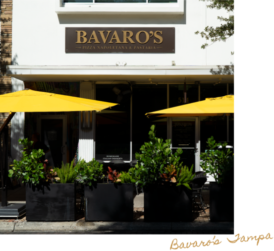 Bavaros-Tampa-exterior