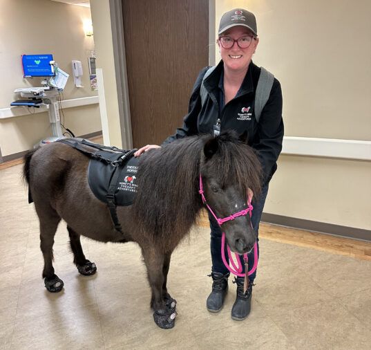 CROP Mary Rose Gullet with horse 2 copy