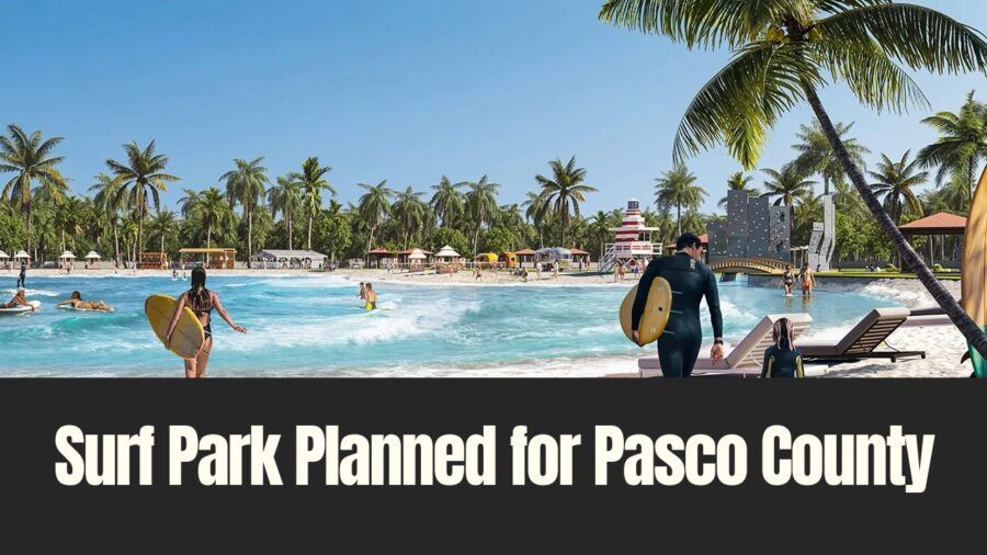 Rendering of a planned surf park in Pasco County featuring a wave lagoon, palm-lined beach, and surfers in a resort-style setting