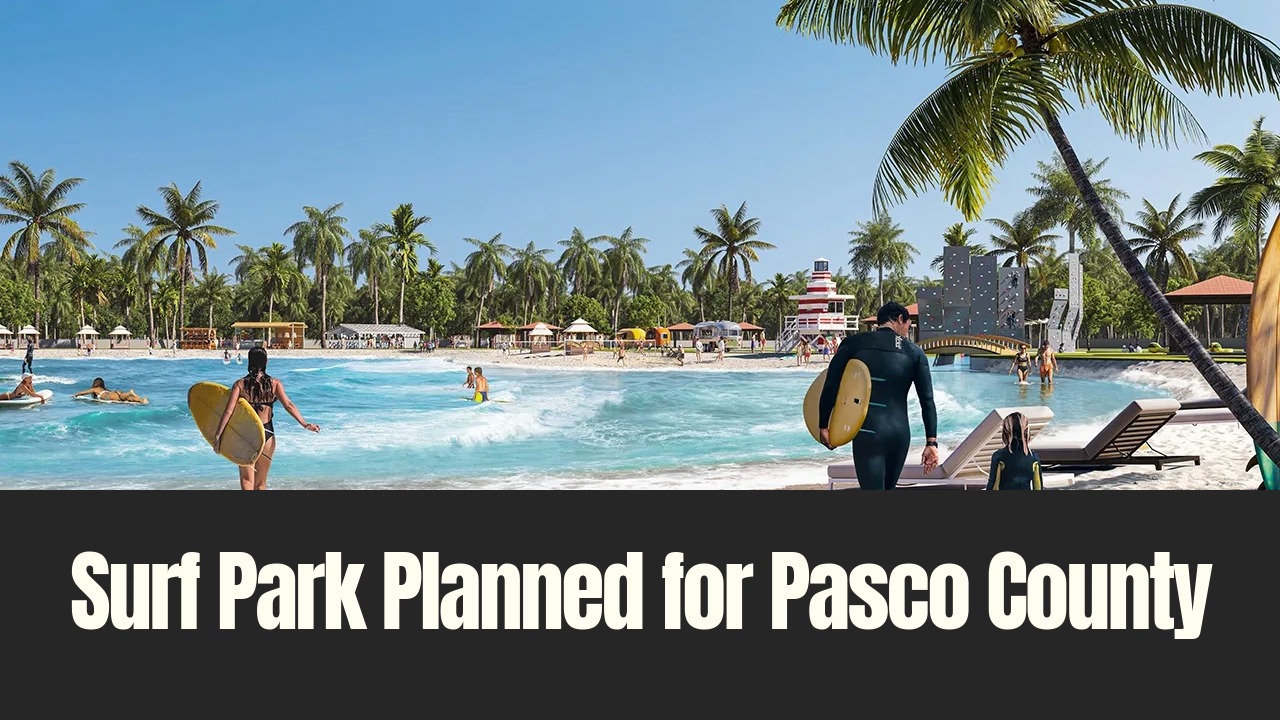 Rendering of a planned surf park in Pasco County featuring a wave lagoon, palm-lined beach, and surfers in a resort-style setting