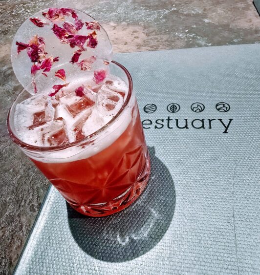 20241126_173217 estuary-new-port-richey