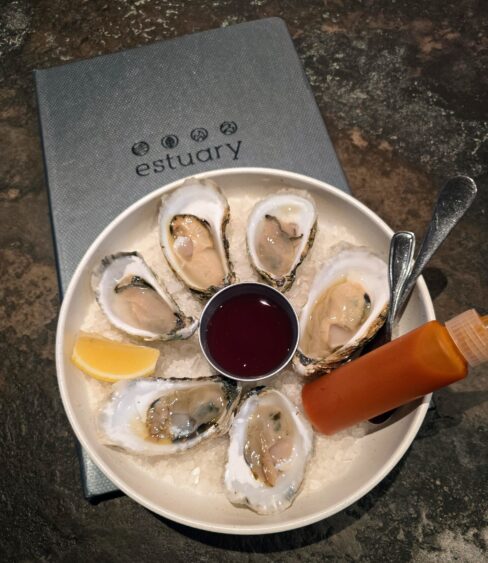 20241126_173932 estuary-oysters