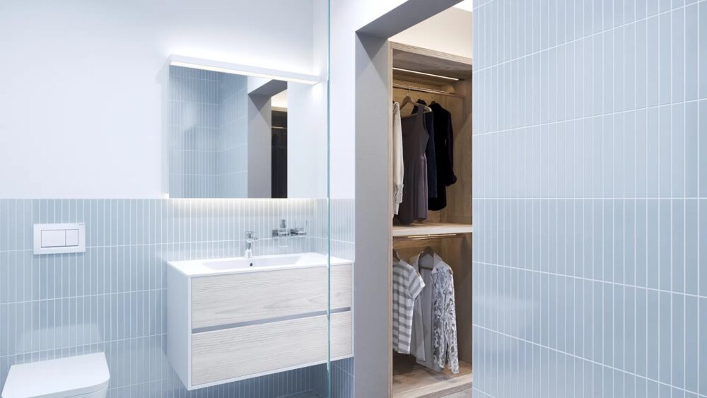 Bathroom and Closet Hallway