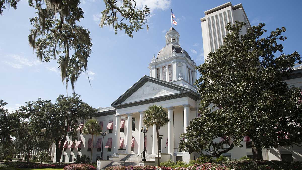 local government