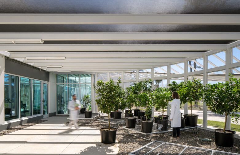 IFF FPU - Garden - Courtesy photo PR