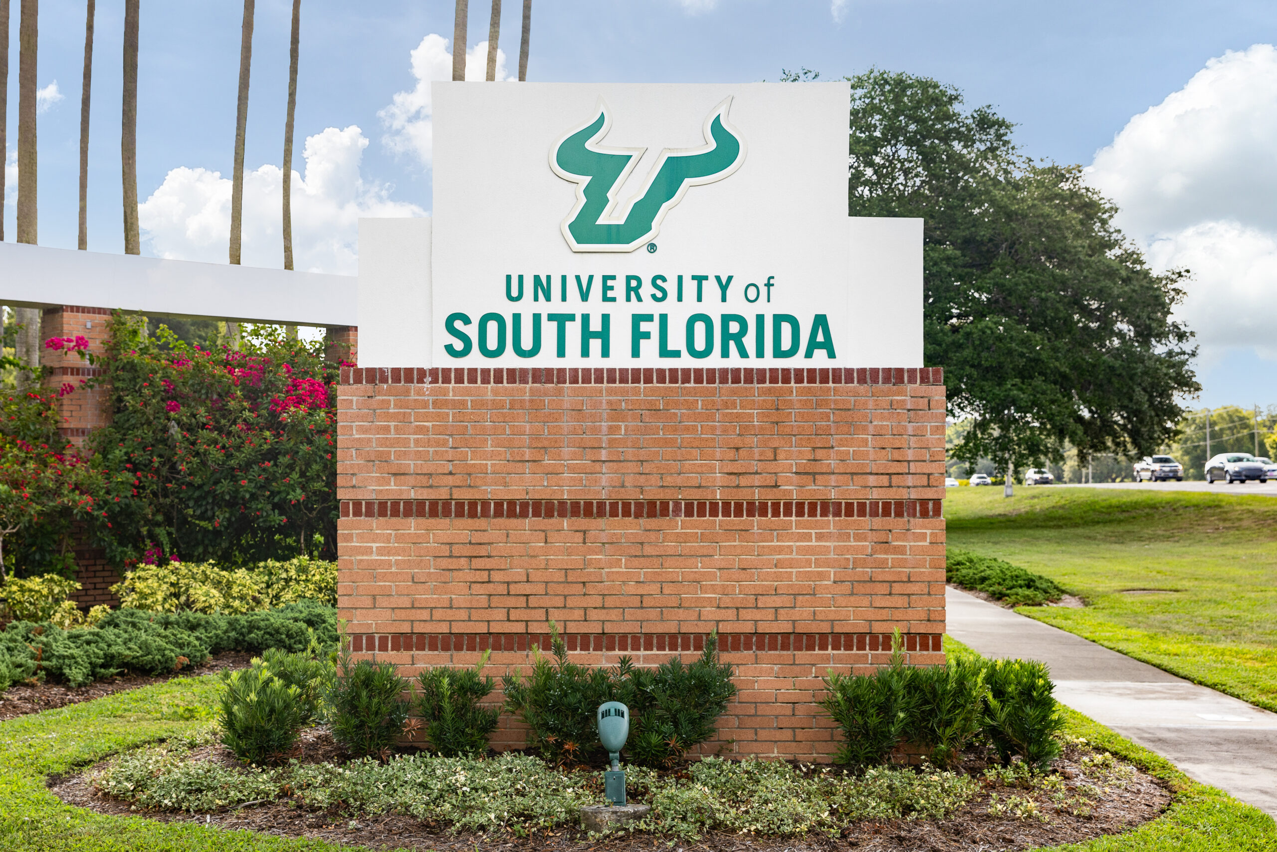 Entrance sign for the University of South Florida in Tampa, featuring the green bull logo on a brick and white monument surrounded by landscaping