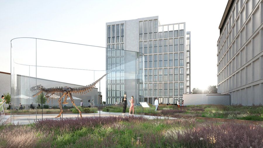 Ellison Dino Central HP