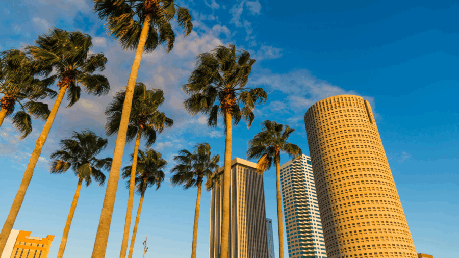 Palm trees frame downtown Tampa’s skyline under a bright blue sky at sunset.