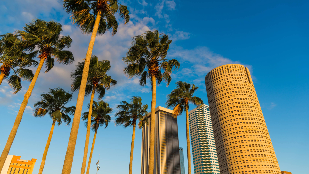 Palm trees frame downtown Tampa’s skyline under a bright blue sky at sunset.