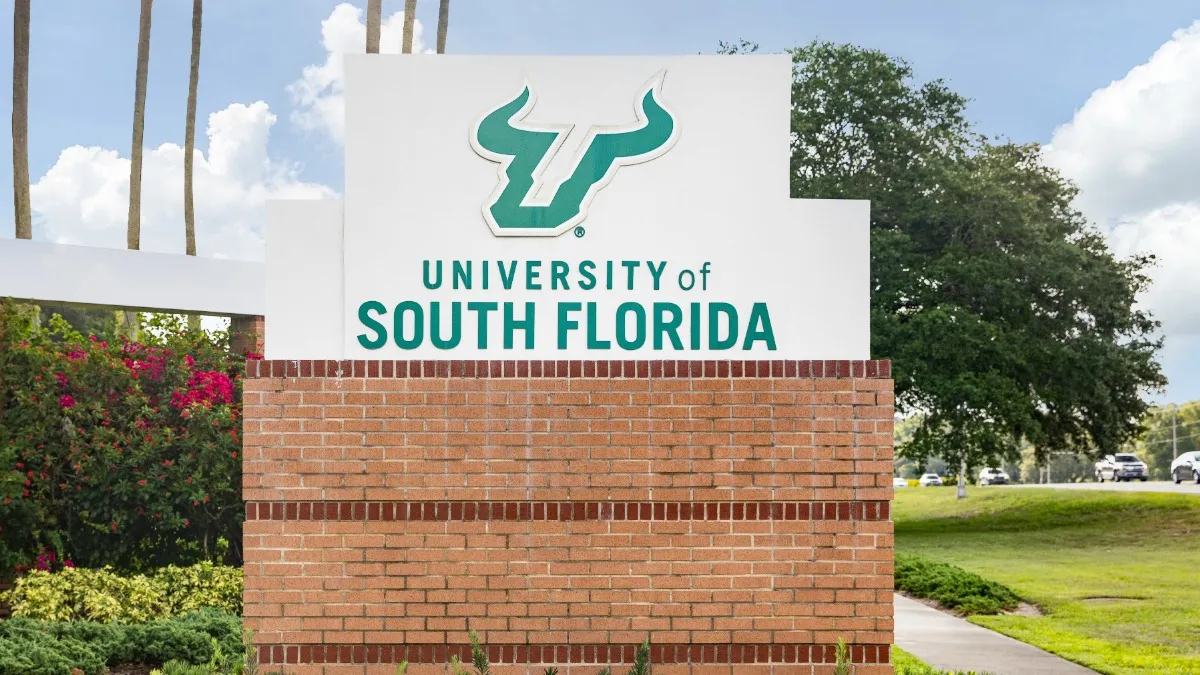USF Street sign