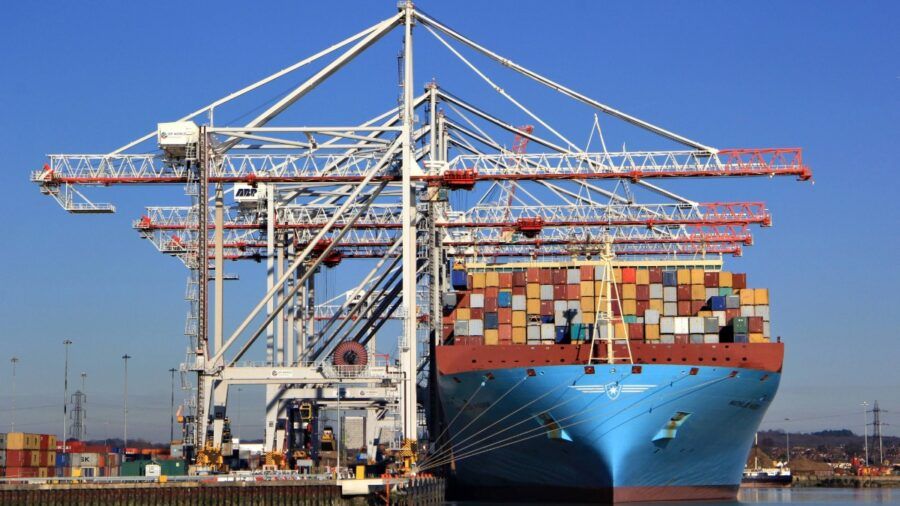 A container ship loaded with stacked refrigerated containers is berthed under green Liebherr ship-to-shore cranes at a modern cargo terminal.