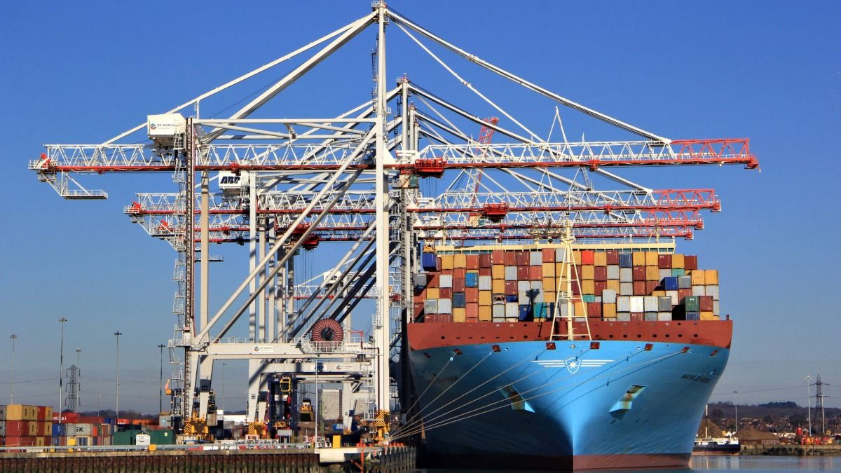 A container ship loaded with stacked refrigerated containers is berthed under green Liebherr ship-to-shore cranes at a modern cargo terminal.