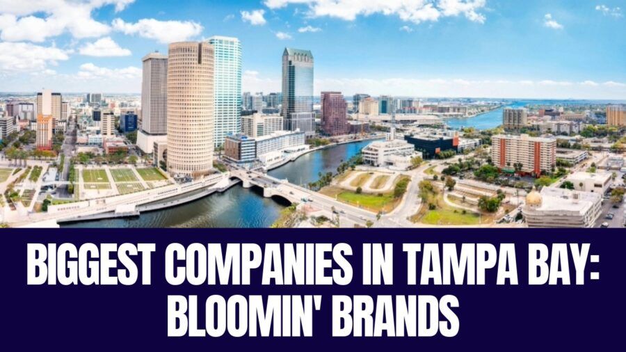 Aerial view of downtown Tampa and the Hillsborough River, home to Bloomin’ Brands headquarters.