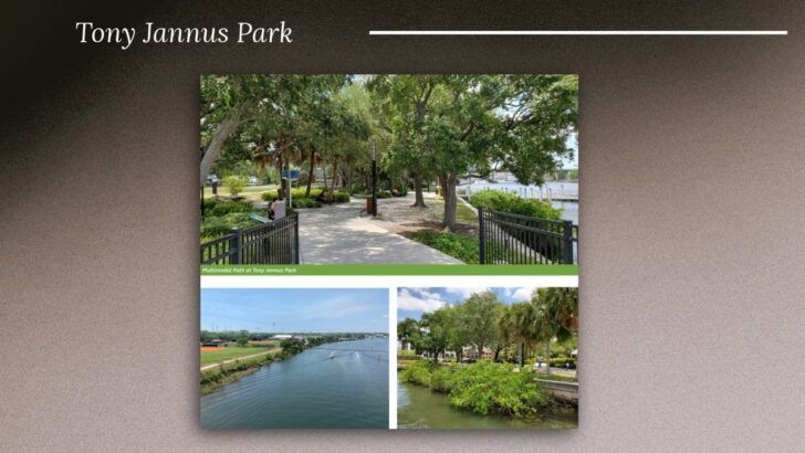 Tony Jannus Park showing a multimodal path along the Hillsborough River with trees and shoreline access