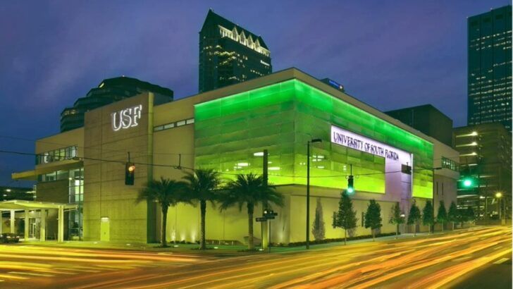 The Center for Advanced Medical Learning and Simulation, or CAMLS, in downtown Tampa, part of the University of South Florida health innovation ecosystem.
