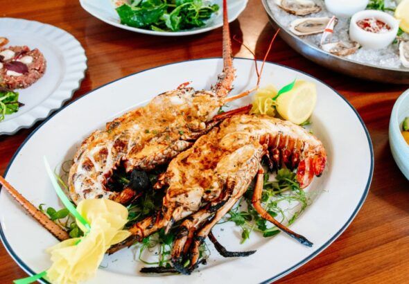 Grilled lobster with oysters and seafood dishes at Oystercatchers in Tampa Bay