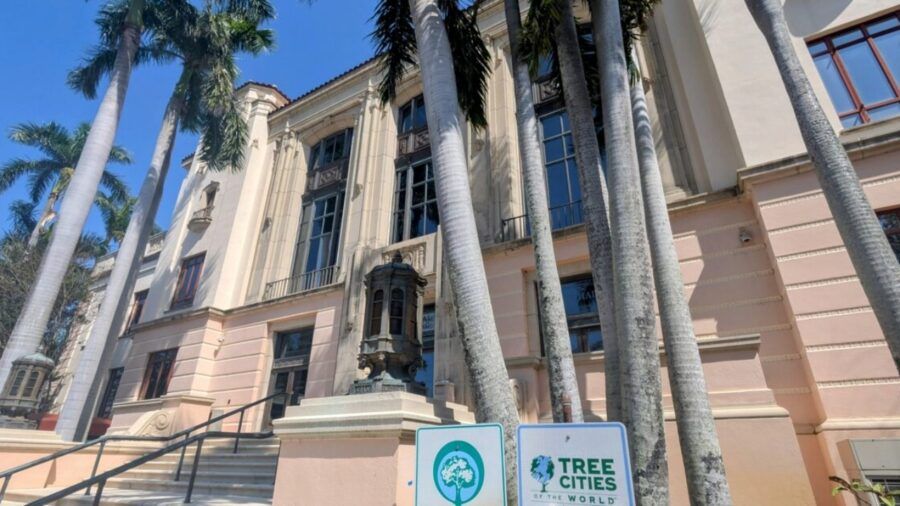 St. Petersburg City Hall building with palm trees and entrance steps in downtown St. Petersburg