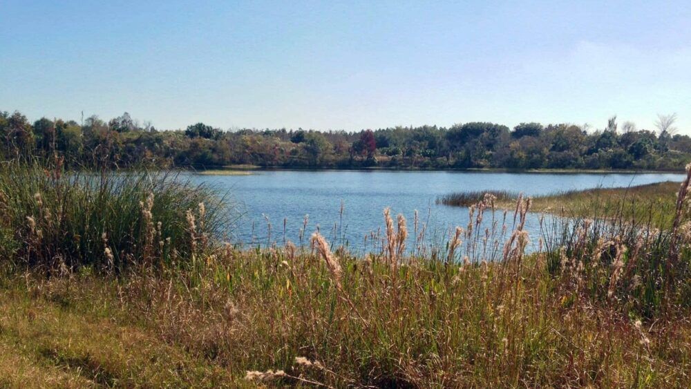 Development eyed for 52 acres near Polk City’s Green Swamp