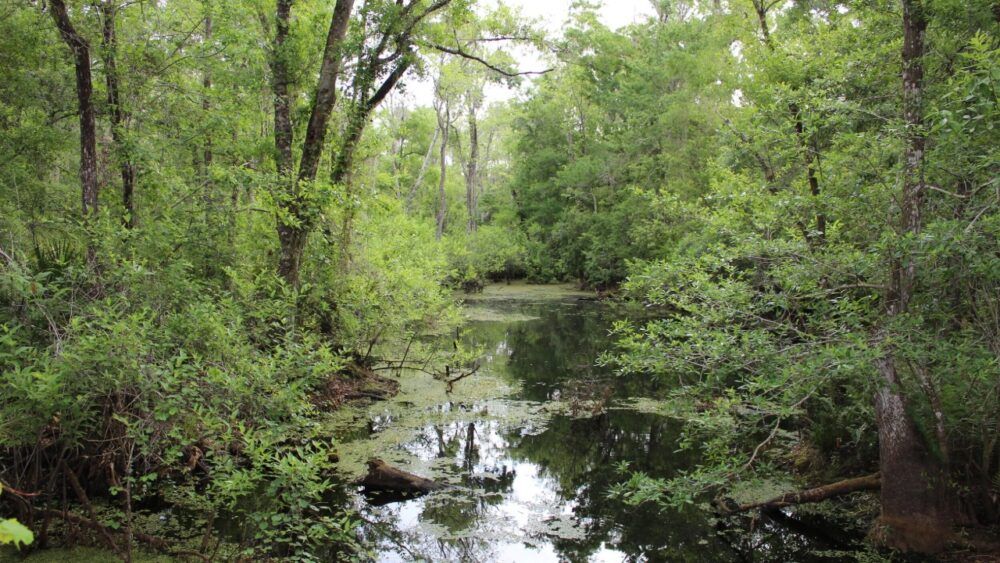 Pinellas set to receive $29.4M for Milton waterway repairs