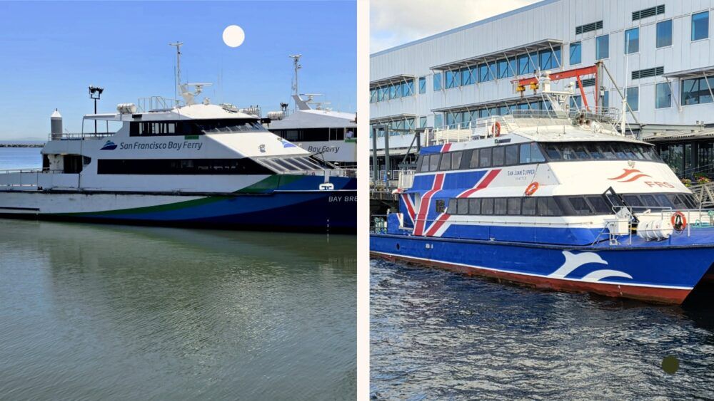 Tampa Bay Ferry buys two vessels for permanent route