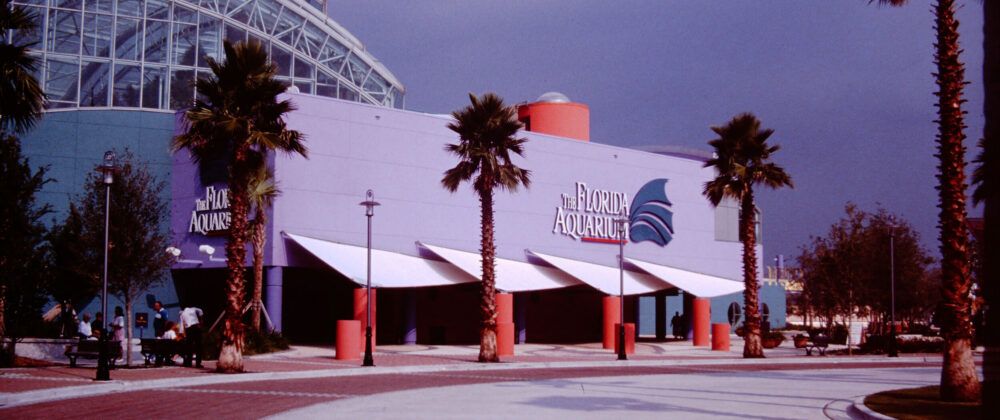 How The Florida Aquarium helped shape Downtown Tampa’s transformation