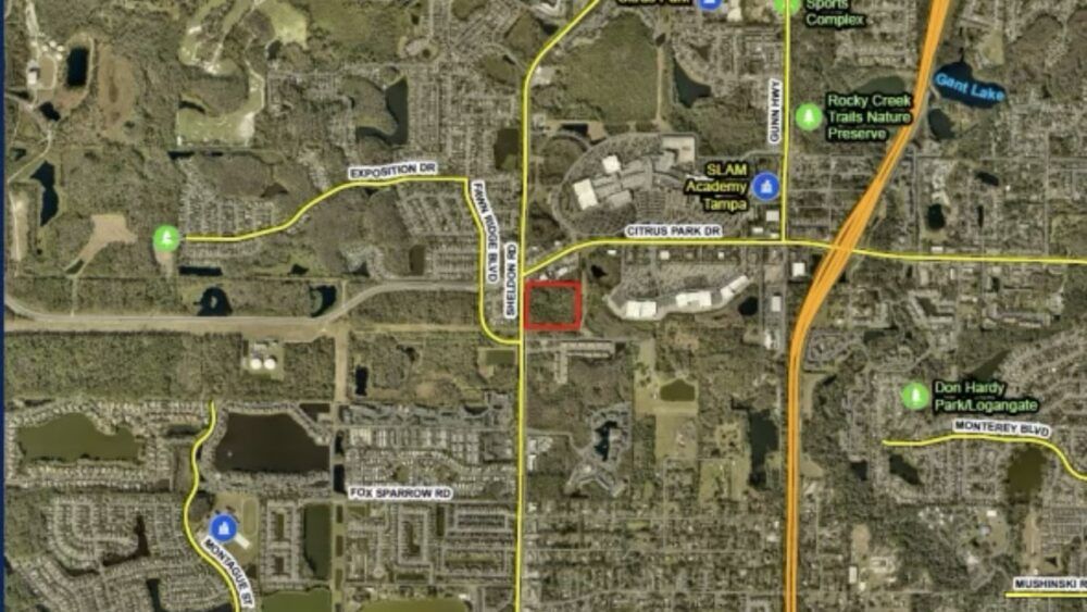 Vacant Citrus Park Site Set for 228 Apartments