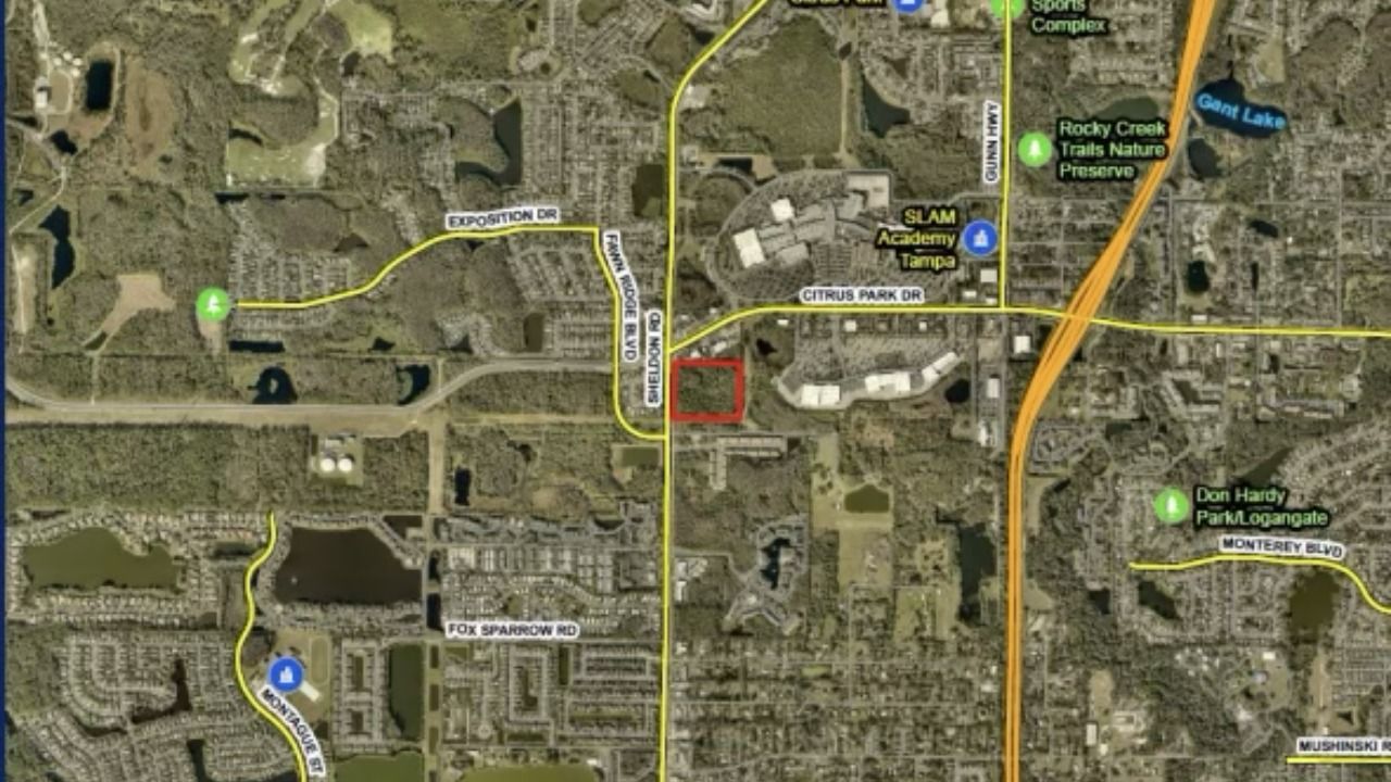 Aerial map showing the proposed Citrus Park apartment development site along Sheldon Road near Citrus Park Drive in Tampa.