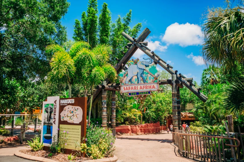 ZooTampa Up for $75M as Five Tampa Institutions Seek Another $90M