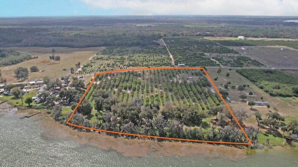 Aerial view of a Polk County citrus grove and lakefront parcel outlined in orange along Central Florida's Lake Wales Ridge.
