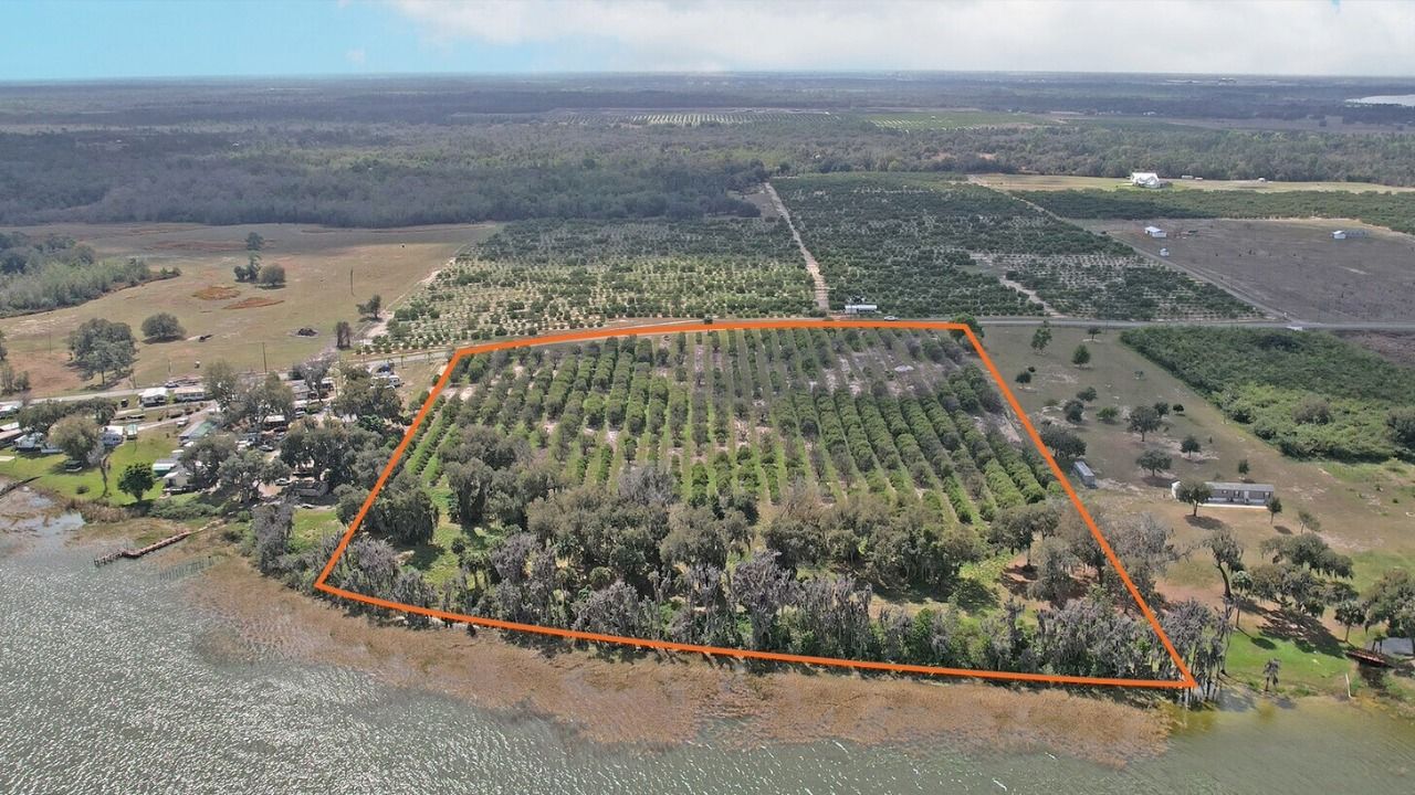 Aerial view of a Polk County citrus grove and lakefront parcel outlined in orange along Central Florida's Lake Wales Ridge.